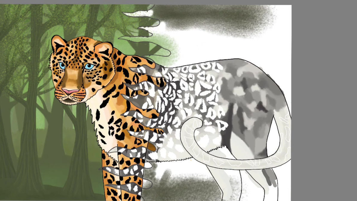 Amur Leopard Time-Lapse